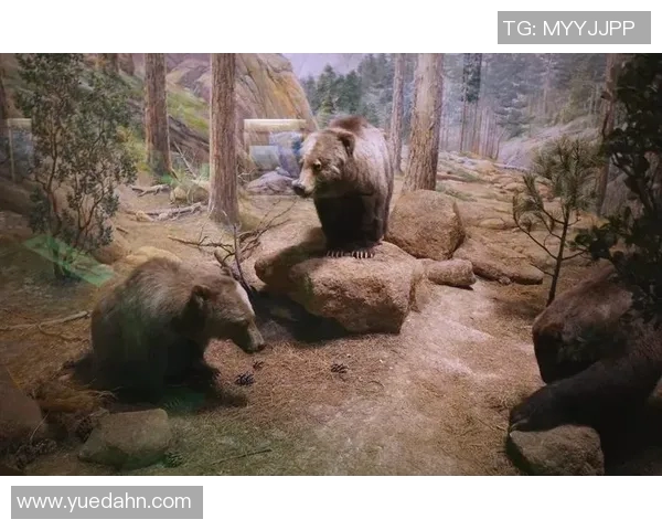 灰熊栖息地及生态环境变化对其生存现状和保护策略的影响分析